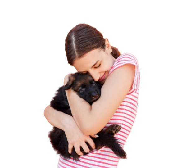 Adoption center visual