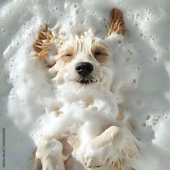 Grooming