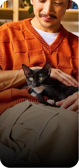 Pet Sitter
