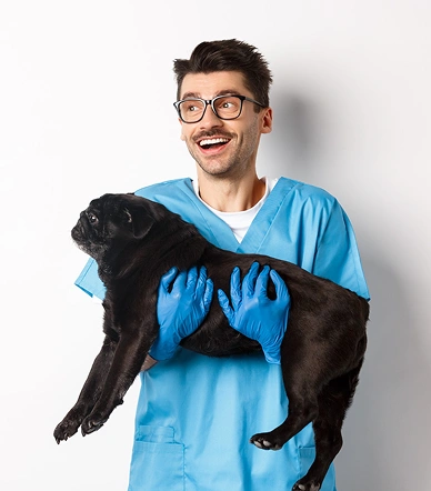 Dr. Arjun Patel