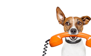Phone