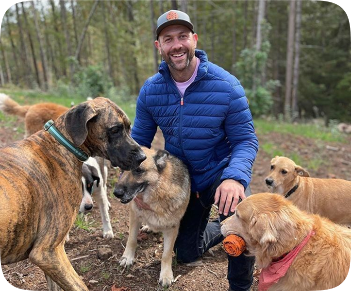 Rescuers caring for animals