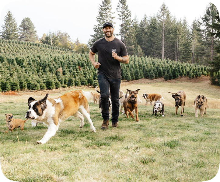 Rescuer with dogs