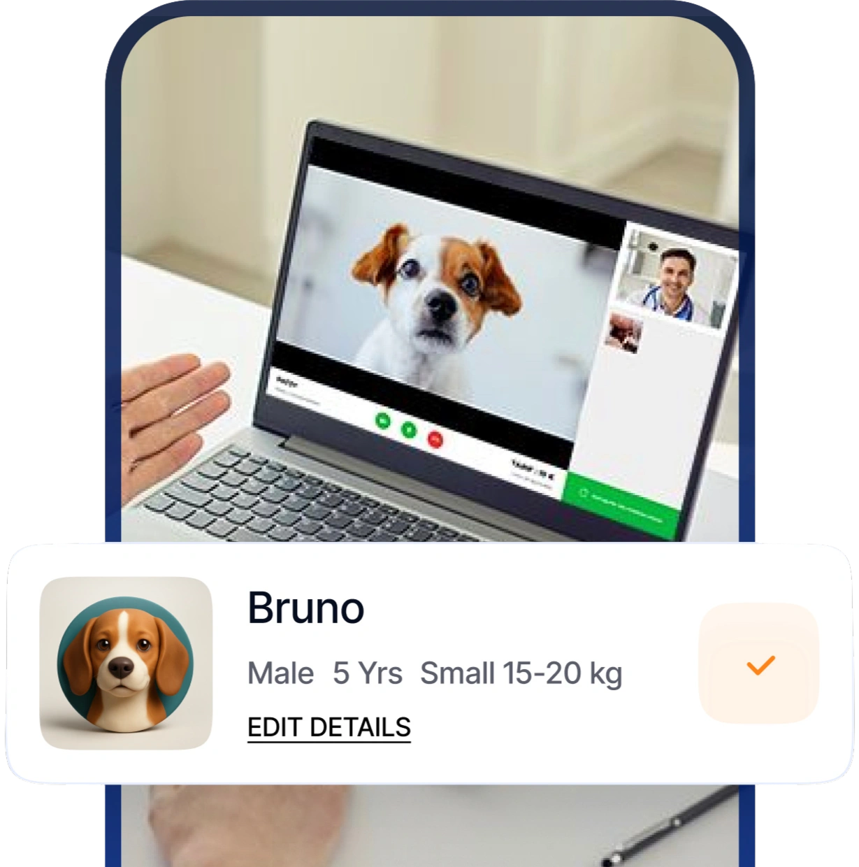 Your pet's entire health story, organised